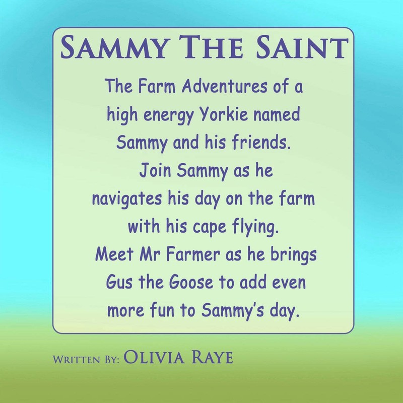 Inventory Refill 12 Pack - Sammy The Saint gallery